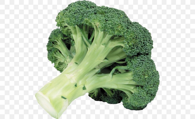 Broccoli Leaf Vegetable Food Cabbage, PNG, 525x500px, Broccoli, Brassica Oleracea, Cabbage, Chou, Cruciferous Vegetables Download Free
