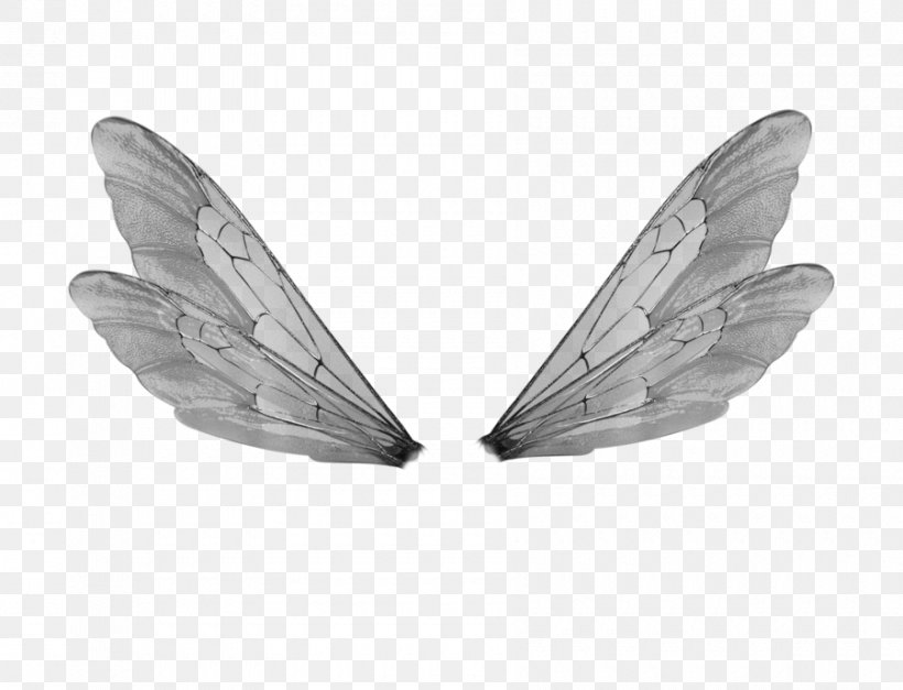 Buffalo Wing Fairy DeviantArt, PNG, 900x689px, Buffalo Wing, Art, Black And White, Butterfly, Deviantart Download Free