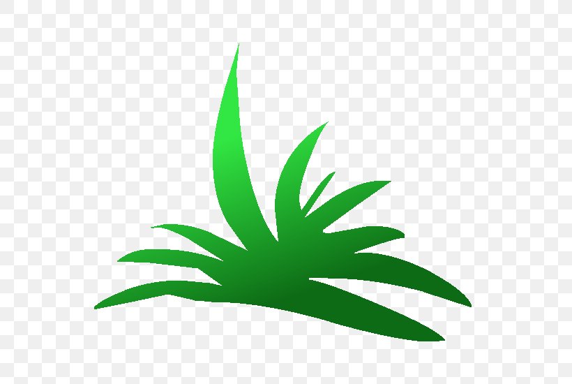 Drawing Game Plant Clip Art, PNG, 550x550px, Drawing, Aloe Vera, Arecaceae, Educational Game, Game Download Free