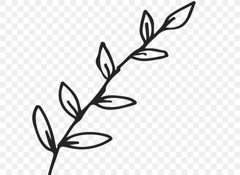 Twig Leaf Branch Clip Art Plant Stem, PNG, 600x600px, Twig, Artwork, Black And White, Branch, Flora Download Free