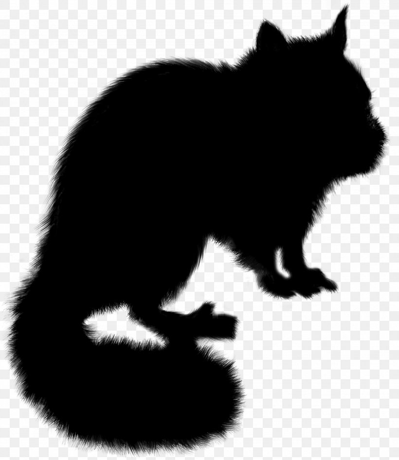 Whiskers Cat Raccoon Red Fox Bear, PNG, 1997x2305px, Whiskers, Bear, Black Cat, Black M, Blackandwhite Download Free