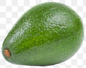 Avocado - Hass Avocado Fruit Clip Art PNG