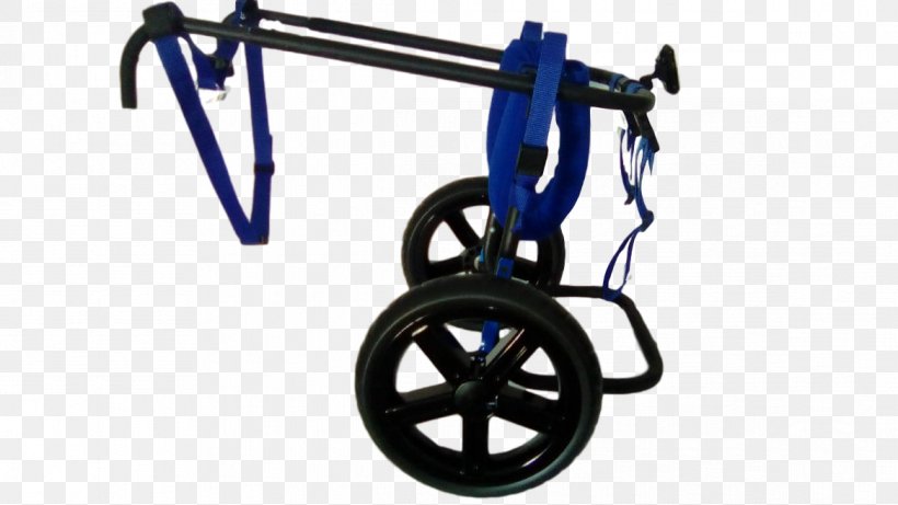 Wheel Bicycle Spoke, PNG, 1167x657px, Wheel, Bicycle, Bicycle Accessory, Mode Of Transport, Spoke Download Free