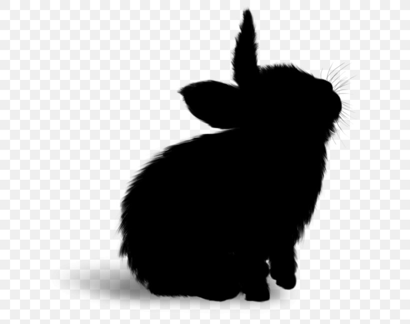 Whiskers Domestic Rabbit Cat Hare Dog, PNG, 700x649px, Whiskers, Black M, Black White M, Blackandwhite, Canidae Download Free