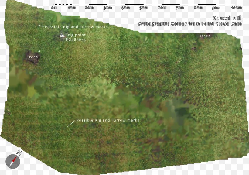 Biome Land Lot Soil Map Real Property, PNG, 1510x1061px, Biome, Ecosystem, Grass, Land Lot, Map Download Free