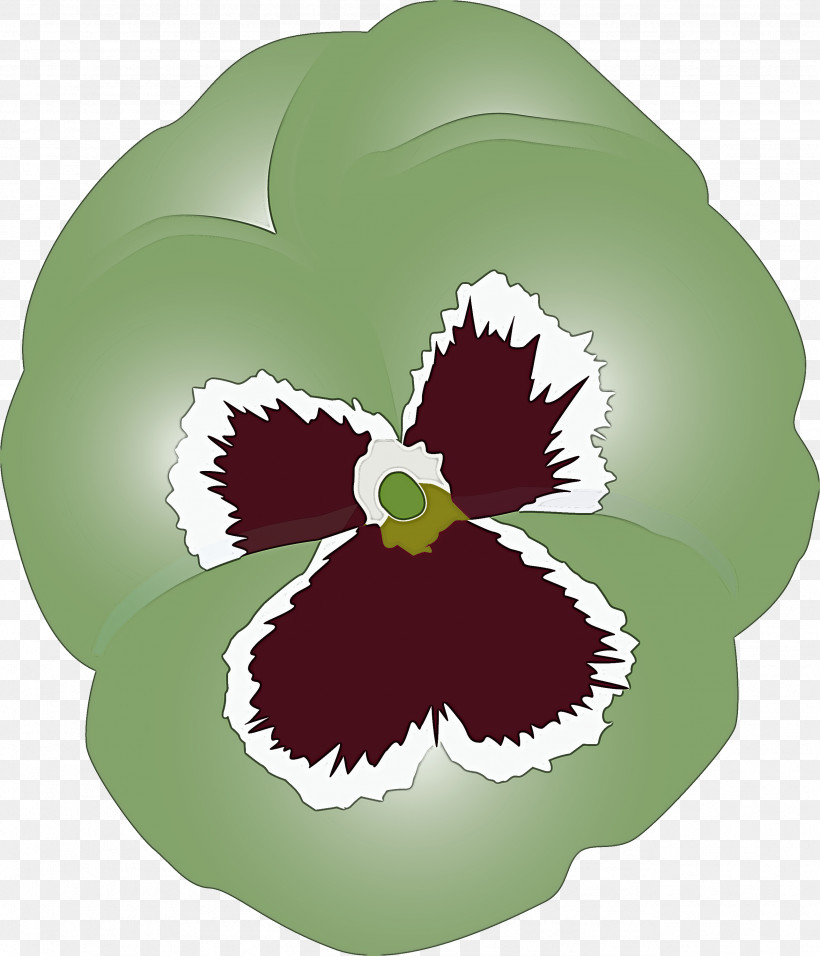 PANSY Spring Flower, PNG, 2571x3000px, Pansy, Cattleya, Flower, Iris, Leaf Download Free