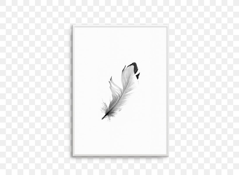 Feather Tail White, PNG, 486x600px, Feather, Bird, Black And White, Quill, Tail Download Free