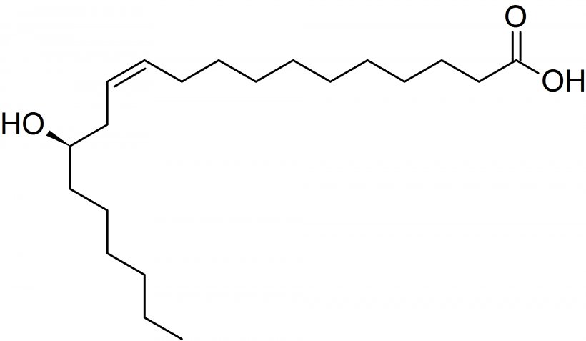 Lesquerolic Acid Alpha Hydroxy Acid Organic Acid Paysonia, PNG, 1968x1145px, Acid, Alpha Hydroxy Acid, Area, Auto Part, Base Download Free