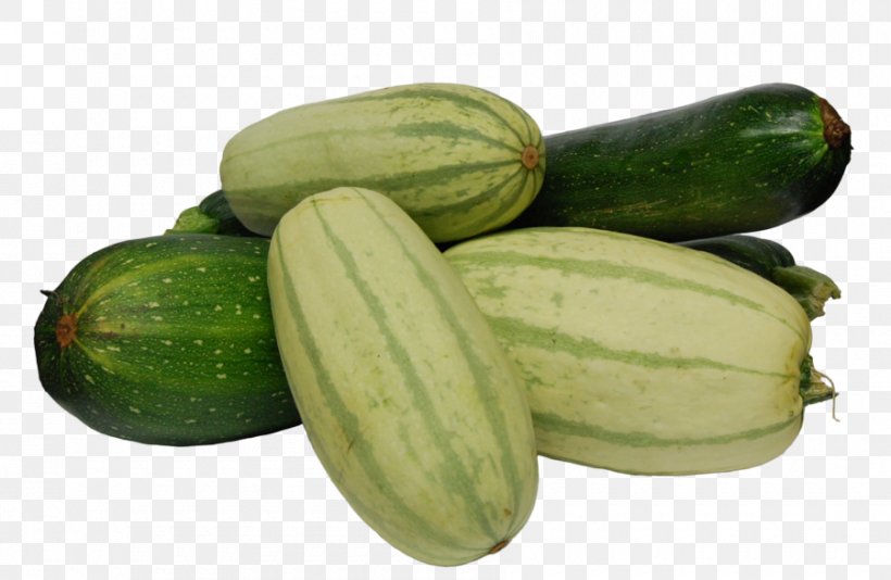 Pickled Cucumber Spreewald Gherkins Zucchini Winter Squash, PNG, 900x587px, Cucumber, Cucumber Gourd And Melon Family, Cucumis, Cucurbita, Cucurbitaceae Download Free
