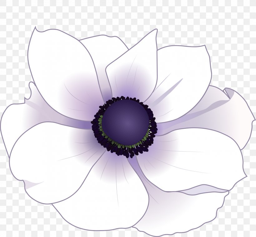 T-shirt Calavera Anemone Neck Polyester, PNG, 1600x1483px, Tshirt, Anemone, Calavera, Flora, Flower Download Free