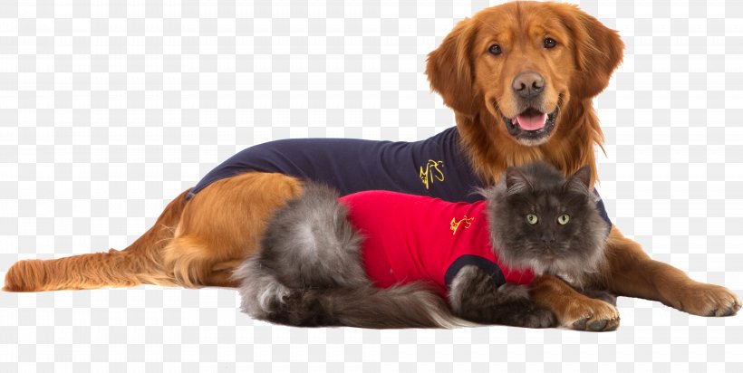 T-shirt Cat Dog Cap Sleeve, PNG, 4059x2044px, Tshirt, Bodysuit, Cap, Carnivoran, Cat Download Free