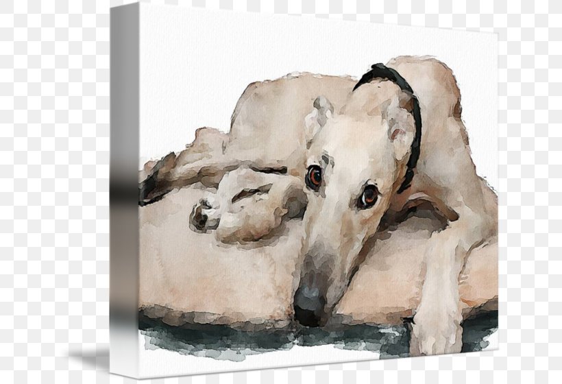 Whippet Borzoi Sloughi Spanish Greyhound Saluki, PNG, 650x560px, Whippet, Art, Borzoi, Breed, Canvas Download Free