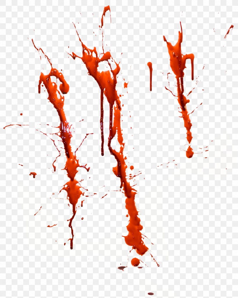 Blood Download, PNG, 1794x2243px, Blood, Art, Branch, Computer Graphics, Display Resolution Download Free