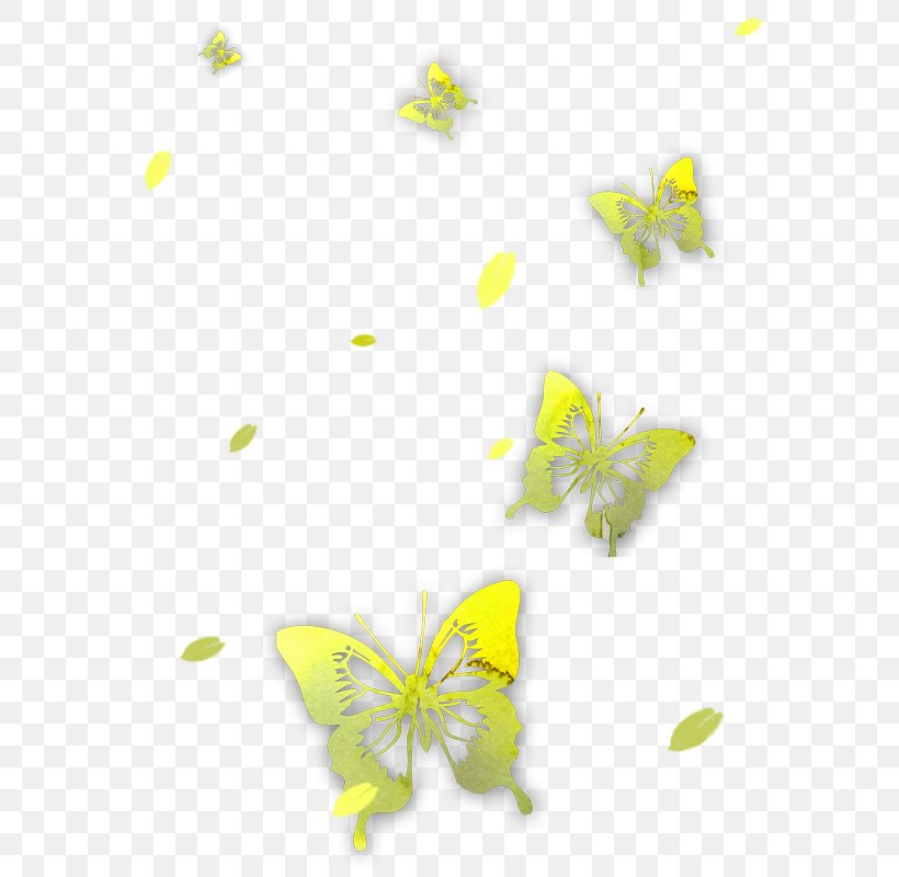 Butterfly Icon, PNG, 600x800px, Butterfly, Designer, Flower, Insect, Invertebrate Download Free
