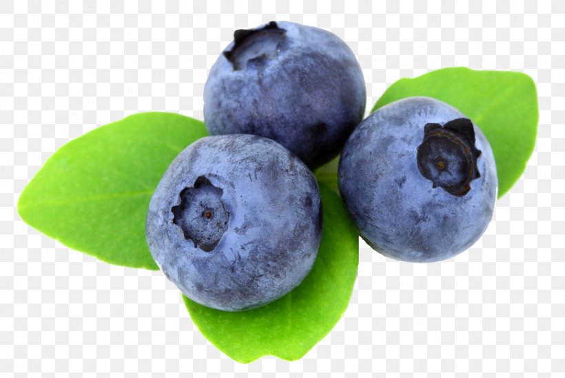 Juice Blueberry Muffin Desktop Wallpaper, PNG, 1137x760px, Juice, Berry, Bilberry, Blueberry, Blueberry Tea Download Free