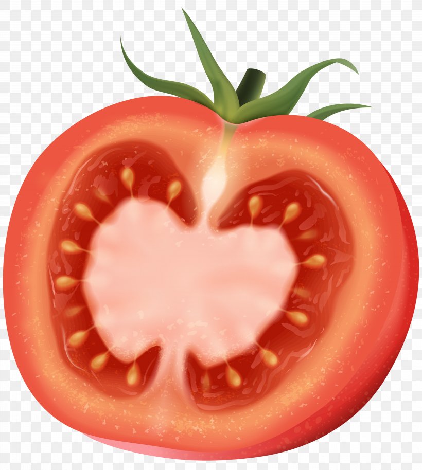Plum Tomato Clip Art, PNG, 5379x6000px, Plum Tomato, Art, Art Museum, Bush Tomato, Cartoon Download Free