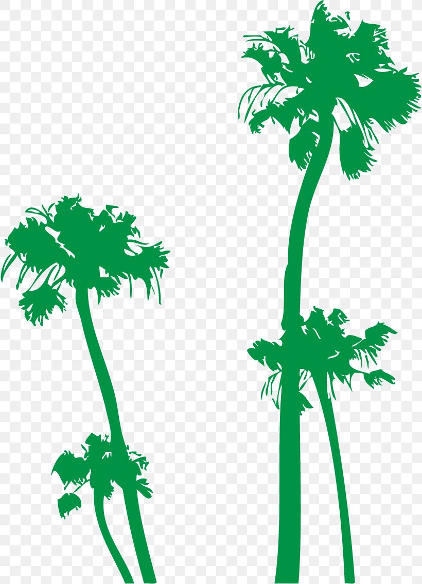 Arecaceae Tree Euclidean Vector Coconut, PNG, 818x1135px, Arecaceae, Artwork, Black And White, Branch, Coconut Download Free