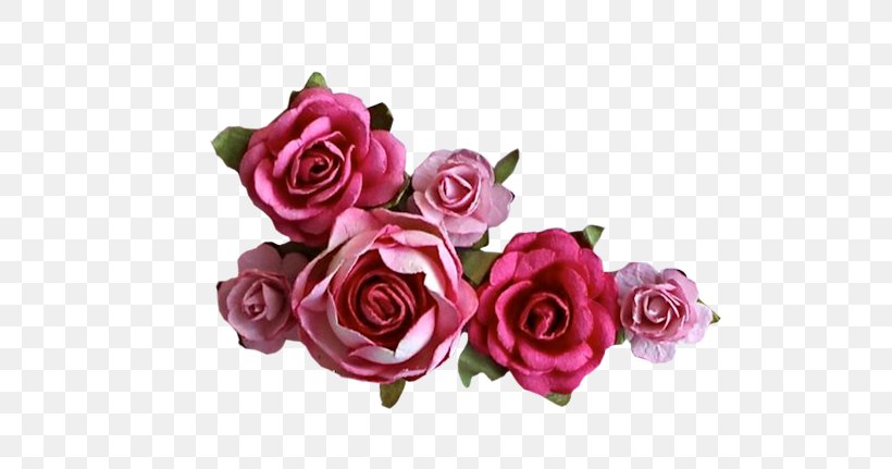 Garden Roses Clip Art Cabbage Rose Adobe Photoshop GIF, PNG, 600x431px, Garden Roses, Artificial Flower, Blog, Cabbage Rose, Cut Flowers Download Free