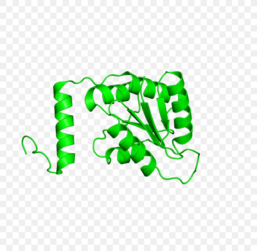 Leaf Logo Clip Art, PNG, 800x800px, Leaf, Area, Green, Logo, Organism Download Free