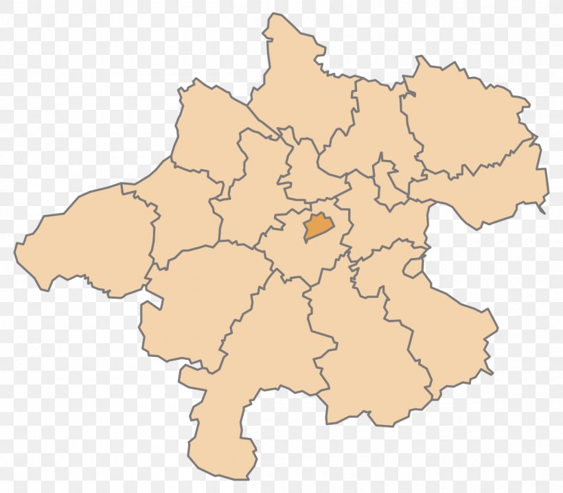 Wels Gmunden District Steyr Rohrbach District Schärding District, PNG, 1200x1051px, Wels, Area, Austria, Bezirk, City Download Free