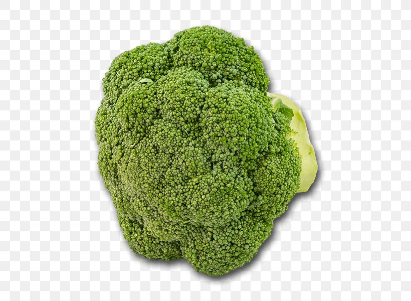 Broccoli, PNG, 600x600px, Broccoli, Broccoflower, Grass, Leaf Vegetable, Vegetable Download Free