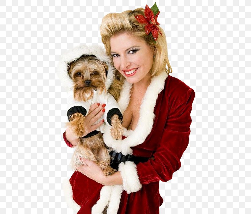 Mrs. Claus Santa Claus Christmas Ornament Dog Breed, PNG, 505x700px, Mrs Claus, Blog, Carnivoran, Centerblog, Christmas Download Free