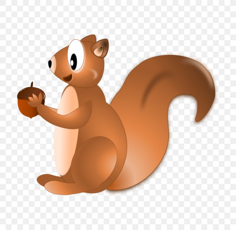 Squirrel Beaver Cat Mammal Tail, PNG, 800x800px, Squirrel, Animated Cartoon, Beaver, Carnivoran, Cartoon Download Free
