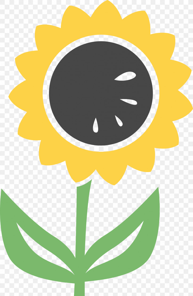 Sunflower Summer, PNG, 1961x3000px, Sunflower, Biology, Leaf, Meter, Mtree Download Free