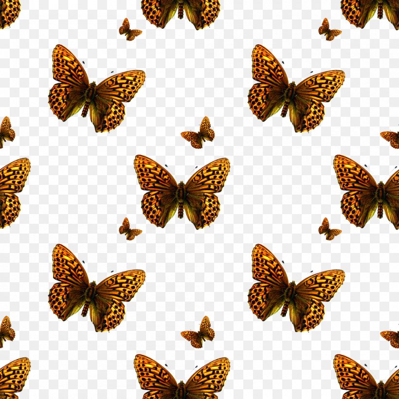 Texture Mapping Photography Pattern, PNG, 1000x1000px, Texture Mapping, Brush Footed Butterfly, Butterfly, Insect, Installation Download Free