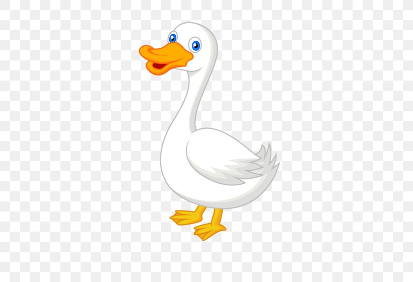 American Pekin Duck Animal, PNG, 483x560px, American Pekin, Animal, Beak, Bird, Duck Download Free