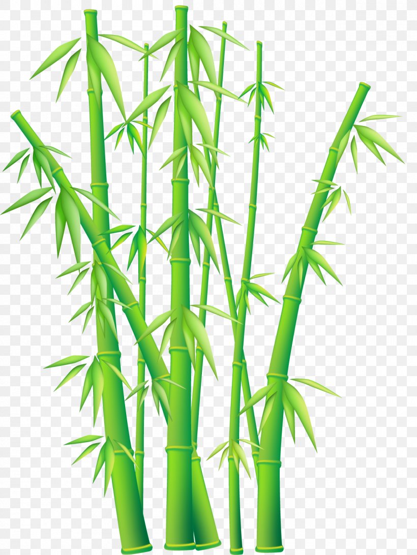 Bambusodae Download Euclidean Vector, PNG, 1200x1599px, Bamboe, Bamboo, Bambusodae, Flowerpot, Grass Download Free