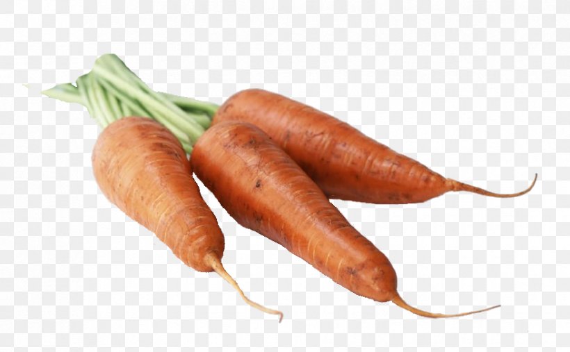 Carrot Mettwurst Food Vegetable Vitamin, PNG, 878x543px, Carrot, American Food, Animal Source Foods, Bockwurst, Breakfast Sausage Download Free