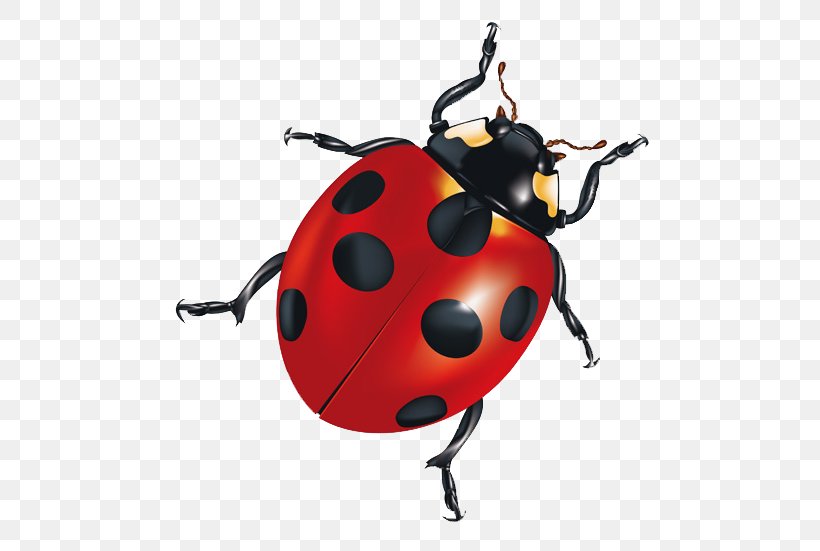 Insect Android Application Package Clip Art, PNG, 512x551px, Insect, Android, Android Application Package, Arthropod, Beetle Download Free