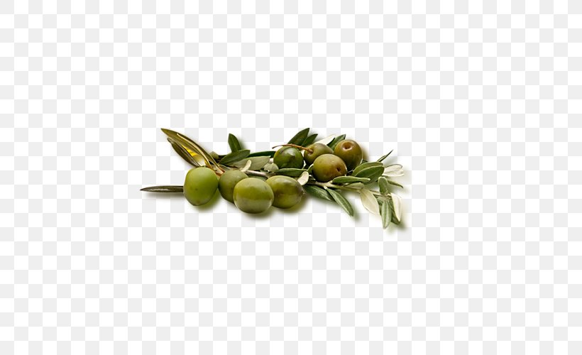 Olive Fruit Icon, PNG, 500x500px, Olive, Copying, Daum, Food, Fruit Download Free