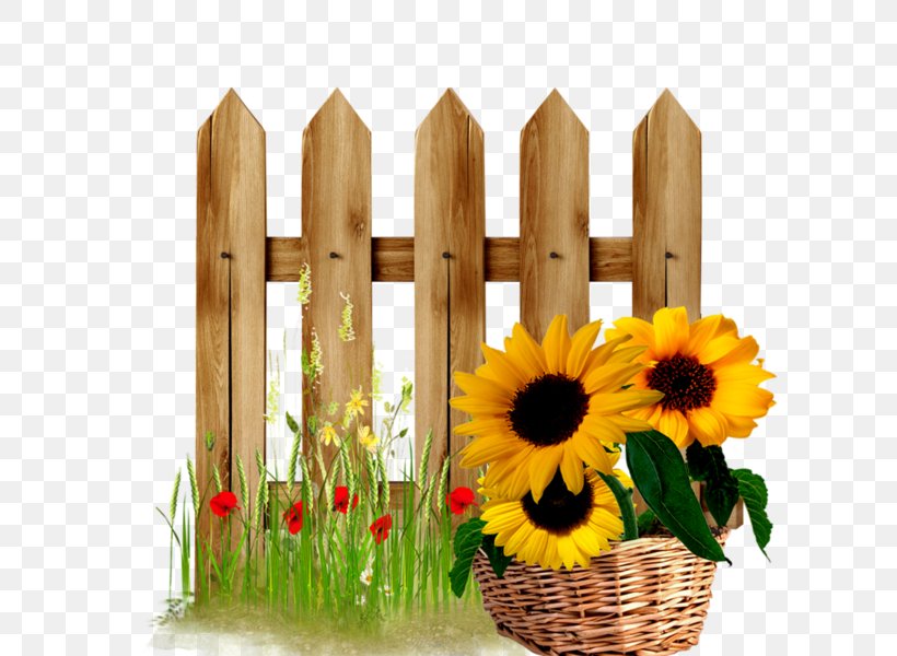 Picket Fence Gate Door Clip Art, PNG, 600x600px, Fence, Can Stock Photo, Cut Flowers, Daisy Family, Door Download Free