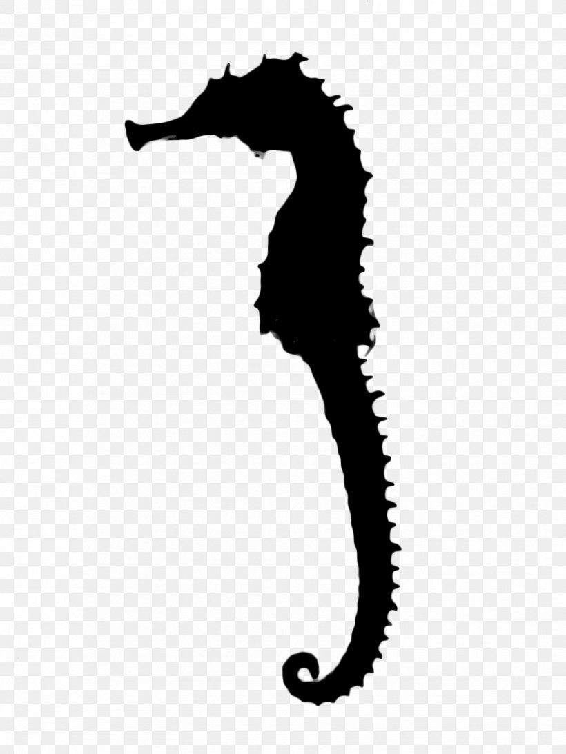 Seahorse Black & White, PNG, 1704x2272px, Seahorse, Black White M, Bonyfish, Fish, Northern Seahorse Download Free