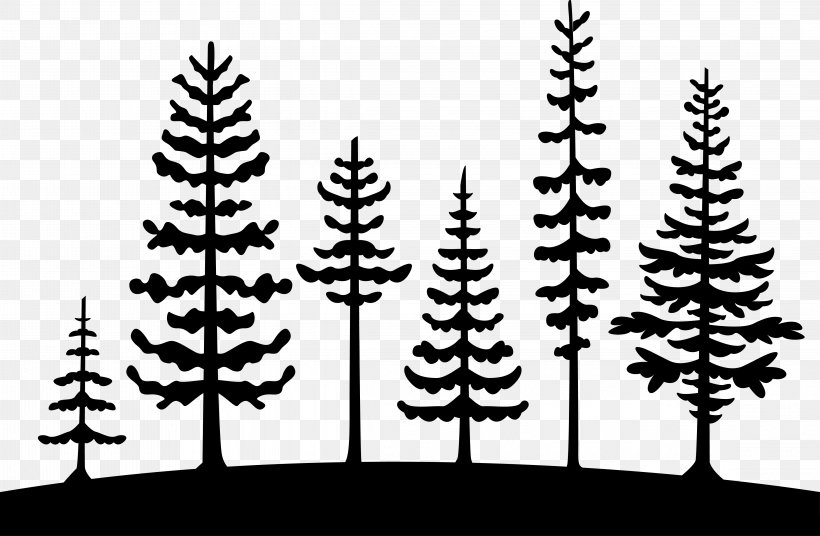 Tree Pine Clip Art Cedrus Libani Vector Graphics, PNG, 4567x2989px, Tree, American Larch, Arborvitae, Blackandwhite, Branch Download Free