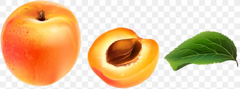 Apricot Armenian Food Plum, PNG, 1279x477px, Apricot, Armenian Food, Diet Food, Food, Fruit Download Free