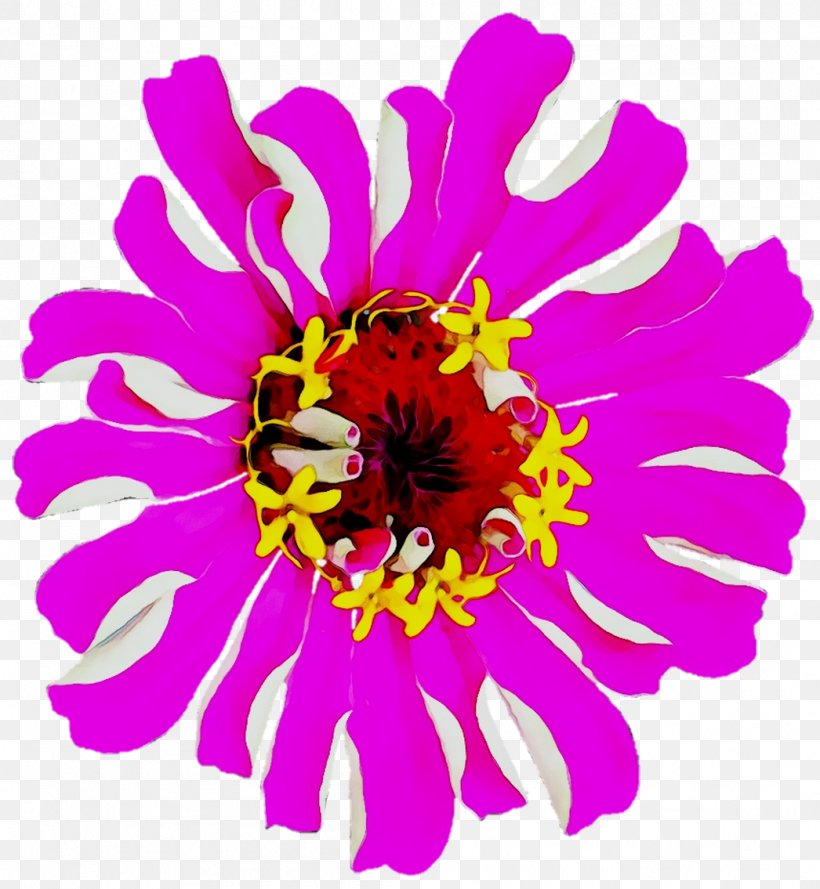 Chrysanthemum Floral Design Cut Flowers Annual Plant Herbaceous Plant, PNG, 1046x1135px, Chrysanthemum, Annual Plant, Cut Flowers, Floral Design, Flower Download Free