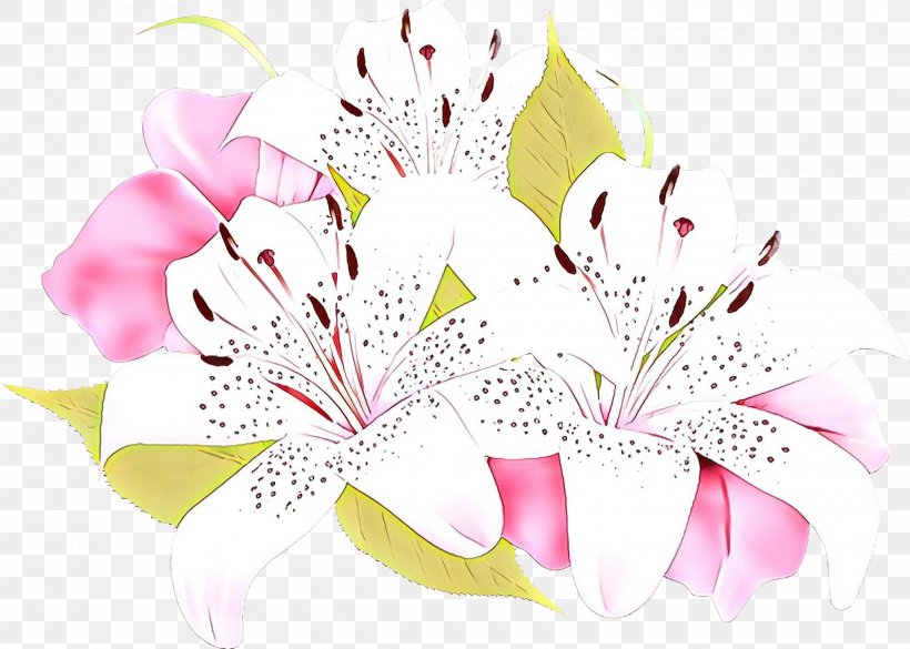 Floral Design Cut Flowers Flower Bouquet, PNG, 2500x1785px, Floral Design, Alstroemeriaceae, Blossom, Botany, Bouquet Download Free