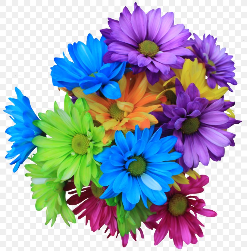 Flower Bouquet Transvaal Daisy Daisy Family, PNG, 800x834px, Flower, Annual Plant, Artificial Flower, Aster, Chrysanthemum Download Free
