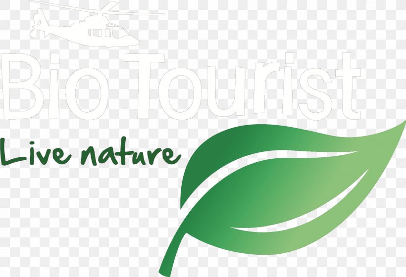 Logo Brand Leaf, PNG, 1801x1231px, Logo, Brand, Grass, Green, Leaf Download Free