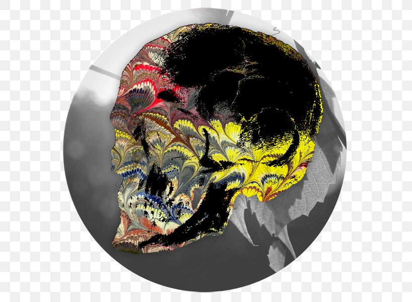 Skull, PNG, 600x600px, Skull, Bone Download Free