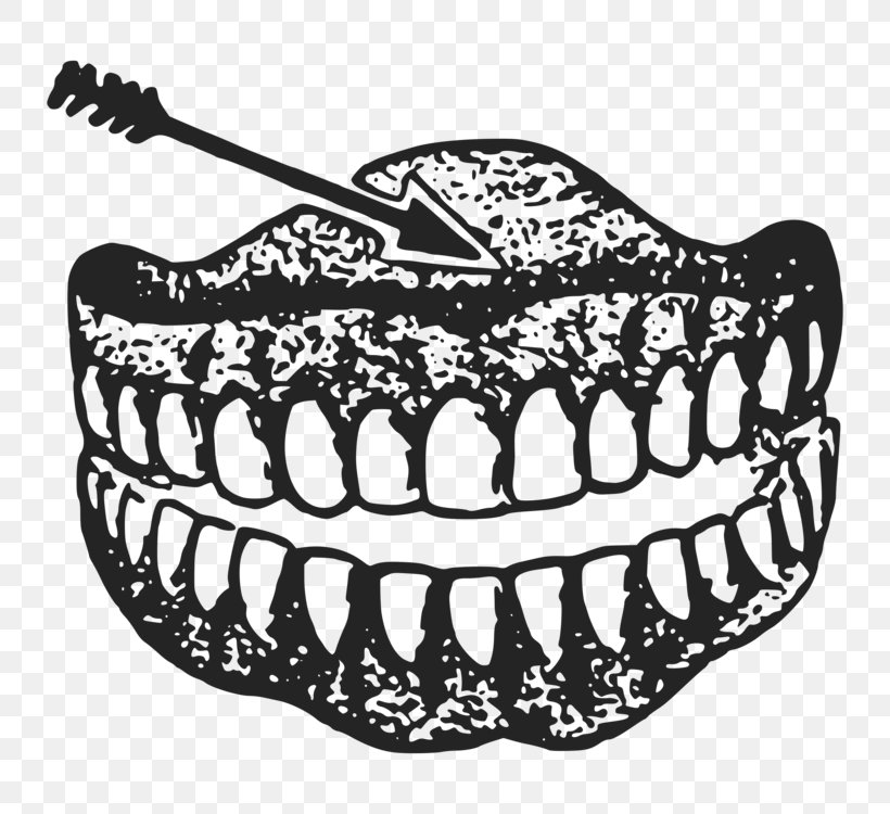 Clip Art Black And White Drawing Human Tooth Vector Graphics, PNG, 750x750px, Black And White, Dentistry, Dentures, Drawing, Human Tooth Download Free