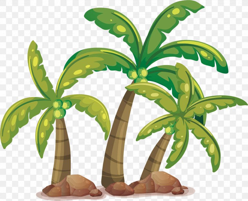 Coconut Arecaceae Tree Clip Art, PNG, 1906x1552px, Coconut, Arecaceae, Drawing, Flowerpot, Grass Download Free
