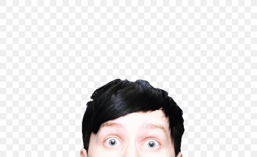Dan And Phil Forehead Image Selfie Tumblr, PNG, 500x500px, Watercolor, Cartoon, Flower, Frame, Heart Download Free
