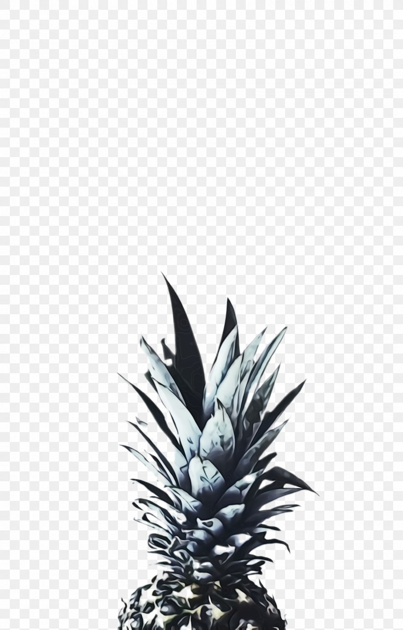 Pineapple, PNG, 1600x2504px, Watercolor, Agave, Ananas, Blackandwhite, Flower Download Free