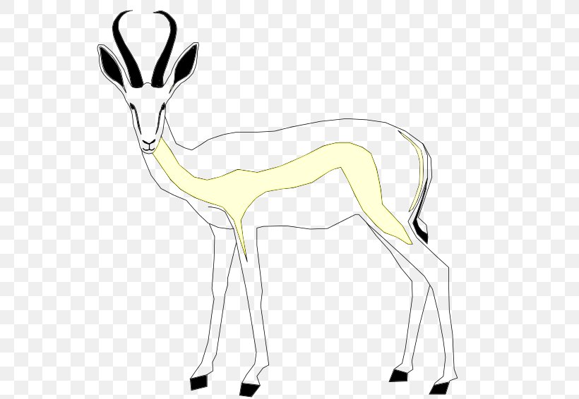 Springbok Gazelle Antelope Mammal Even-toed Ungulates, PNG, 800x566px, Springbok, Animal, Animal Figure, Antelope, Antidorcas Download Free