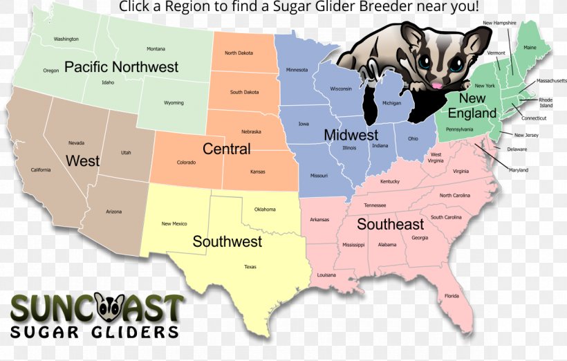 World Map Sugar Glider Web Mapping, PNG, 1180x752px, Map, Area, Computer Software, Geographic Information System, Location Download Free