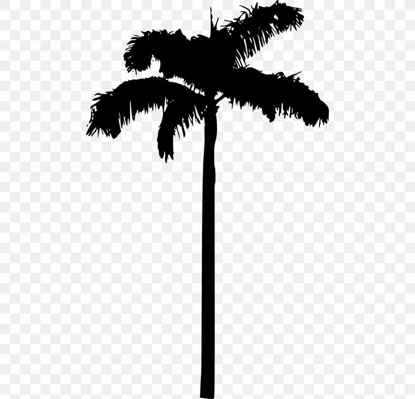 Asian Palmyra Palm Silhouette Arecaceae, PNG, 480x789px, Asian Palmyra Palm, Arecaceae, Arecales, Babassu, Black And White Download Free